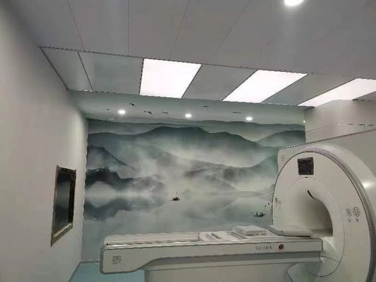 100dB एमआरआई शील्ड रूम फैराडे सुरक्षा फैराडे पिंजरे अनुकूलन योग्य दरवाजा