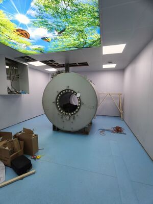 अच्छी कीमत 100dB परिरक्षण प्रभावशीलता आरएफ परिरक्षण कक्ष ईएमसी परीक्षण के लिए अनुकूलन योग्य कक्ष आकार और 50oHm इनपुट प्रतिबाधा के साथ ऑनलाइन